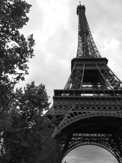 La Tour Eiffel, en noir et blanc, vue d'en bas, occupe une grosse moitié droite de l'image, dans la partie gauche on voit les branches d'un arbre.